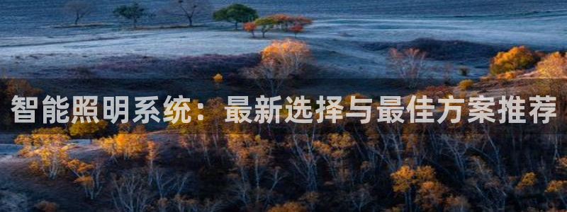 智能照明系统：最新选择与最佳方案推荐