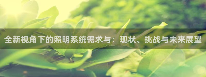全新视角下的照明系统需求与:现状、挑战与未来展望