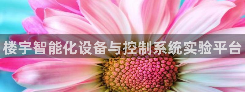 楼宇智能化设备与控制系统实验平台