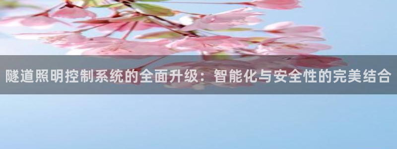 隧道照明控制系统的全面升级:智能化与安全性的完美结合