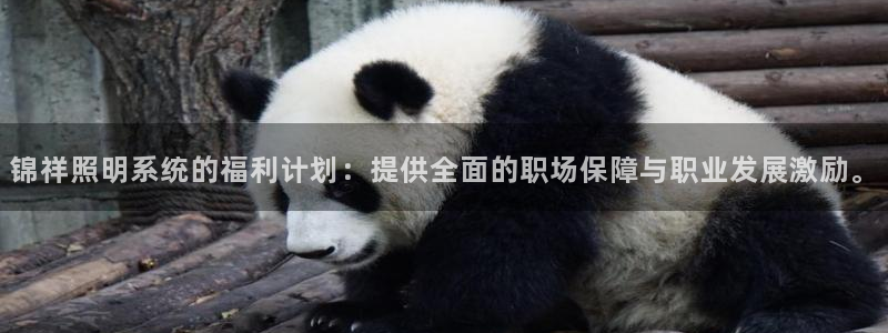 锦祥照明系统的福利计划：提供全面的职场保障与职业发展激励。