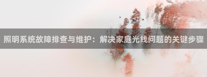 照明系统故障排查与维护：解决家庭光线问题的关键步骤