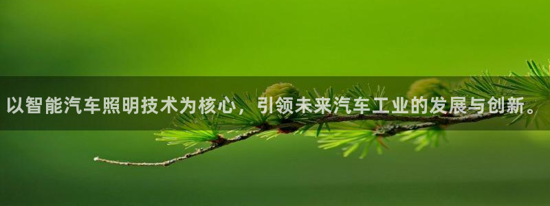 以智能汽车照明技术为核心，引领未来汽车工业的发展与创新。