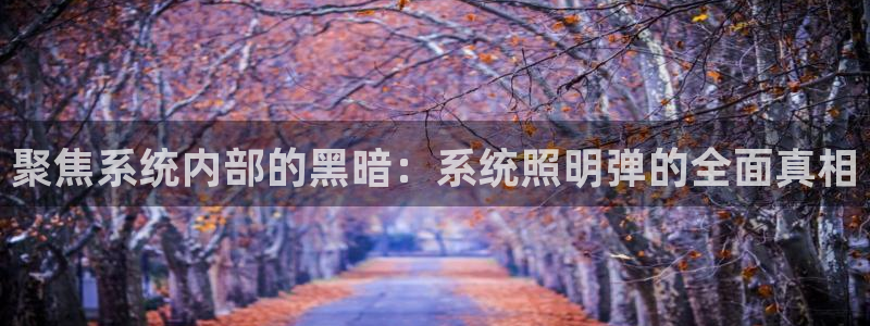 聚焦系统内部的黑暗：系统照明弹的全面真相