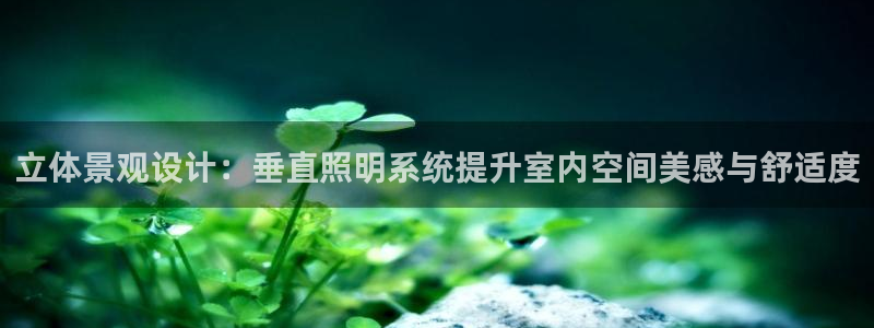 立体景观设计：垂直照明系统提升室内空间美感与舒适度