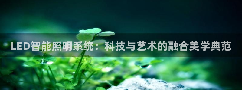 LED智能照明系统：科技与艺术的融合美学典范