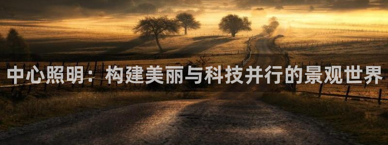 中心照明:构建美丽与科技并行的景观世界