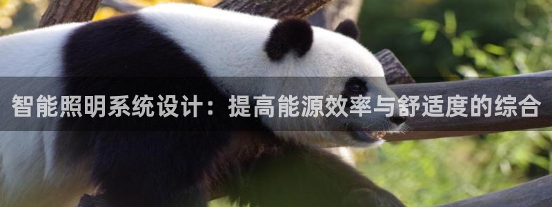 智能照明系统设计：提高能源效率与舒适度的综合