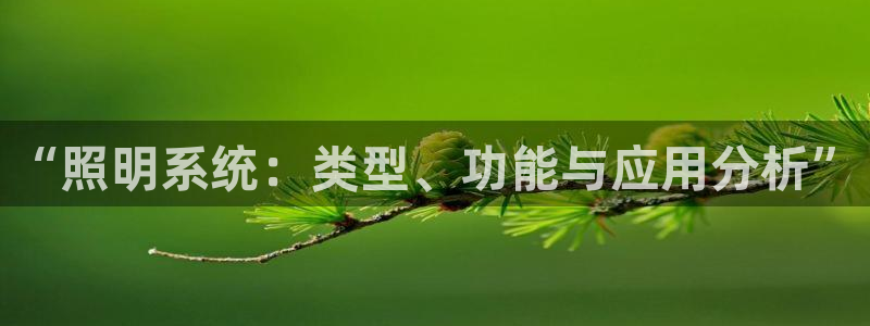“照明系统：类型、功能与应用分析”