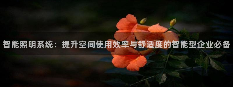 智能照明系统：提升空间使用效率与舒适度的
