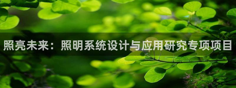 照亮未来：照明系统设计与应用研究专项项目