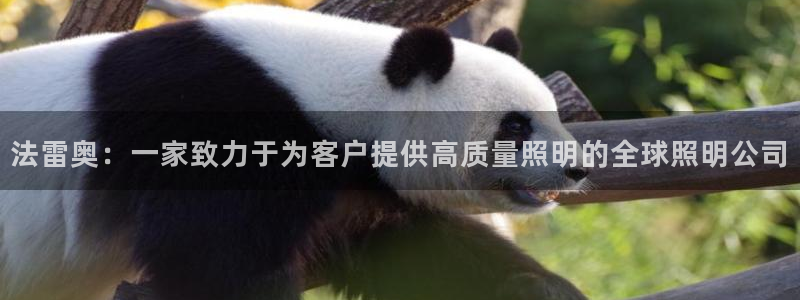 法雷奥：一家致力于为客户提供高质量照明的全球照明公司