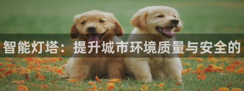 智能灯塔：提升城市环境质量与安全的