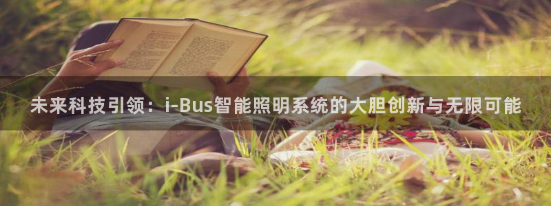 未来科技引领：i-Bus智能照明系统的大胆创新与无限可能