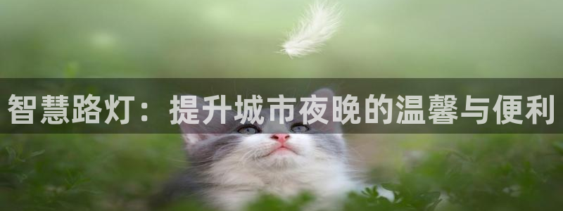 智慧路灯：提升城市夜晚的温馨与便利