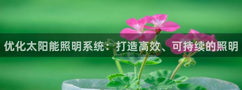 优化太阳能照明系统：打造高效、可持续的照明