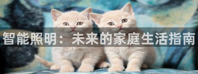 智能照明：未来的家庭生活指南