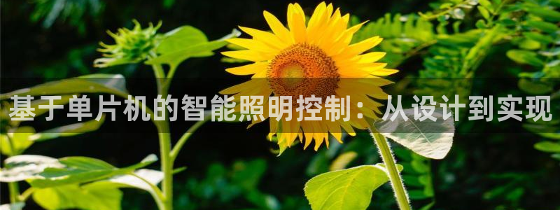 基于单片机的智能照明控制：从设计到实现