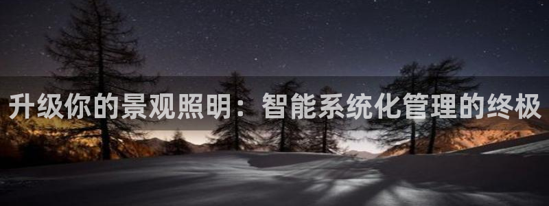 升级你的景观照明：智能系统化管理的终极