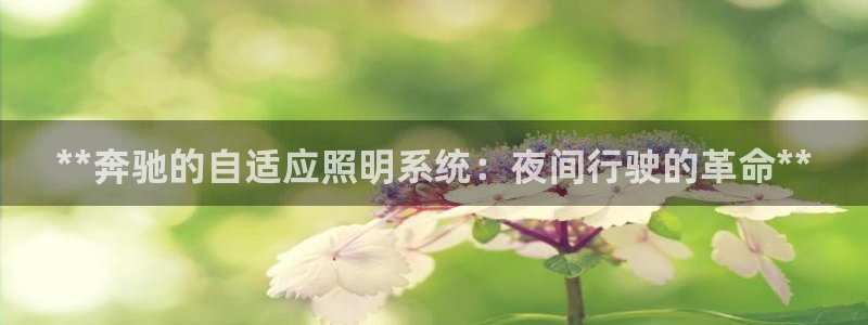 **奔驰的自适应照明系统：夜间行驶的革命**