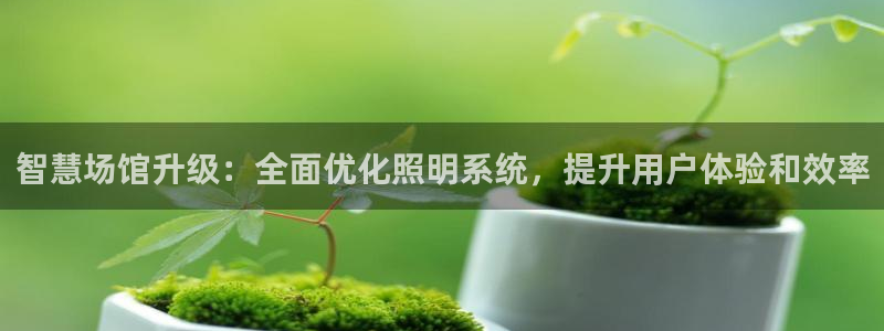 智慧场馆升级：全面优化照明系统，提升用户体验和效率