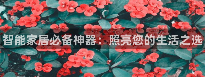 智能家居必备神器：照亮您的生活之选