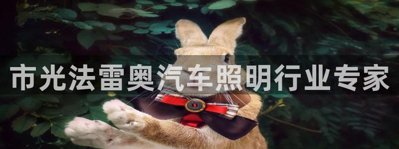 市光法雷奥汽车照明行业专家