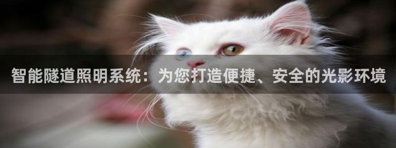 智能隧道照明系统：为您打造便捷、安全的光影环境