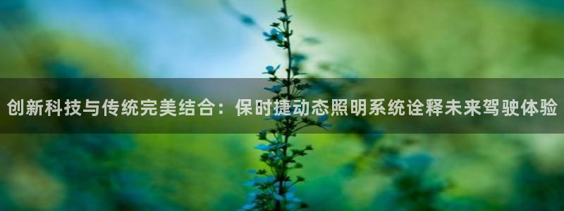 创新科技与传统完美结合：保时捷动态照明系统诠释未来驾驶体验