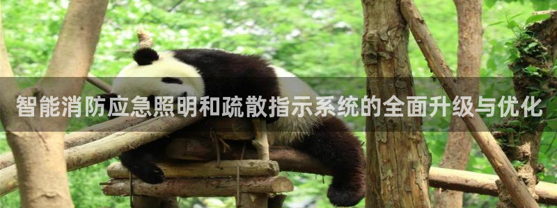 智能消防应急照明和疏散指示系统的全面升级与优化