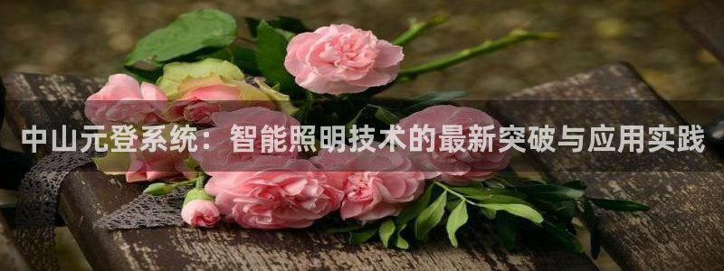 中山元登系统：智能照明技术的最新突破与应用实践