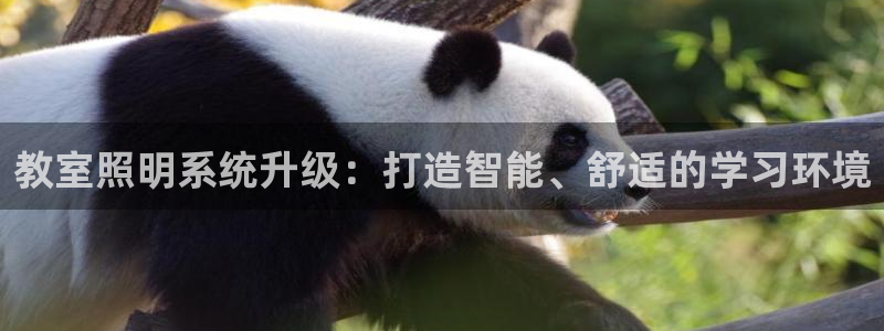 教室照明系统升级：打造智能、舒适的学习环境