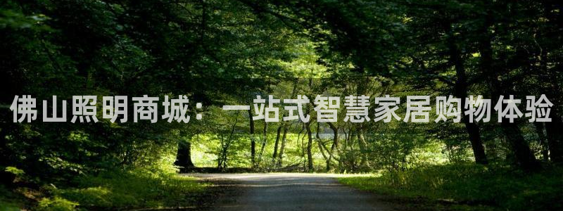 佛山照明商城：一站式智慧家居购物体验