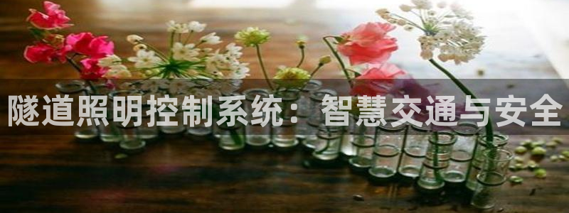 隧道照明控制系统：智慧交通与安全