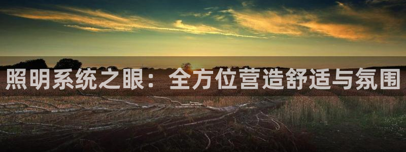 照明系统之眼：全方位营造舒适与氛围