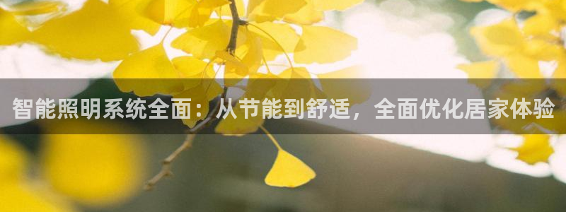 智能照明系统全面：从节能到舒适，全面优化居家体验