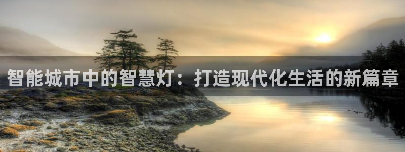 智能城市中的智慧灯：打造现代化生活的新篇章