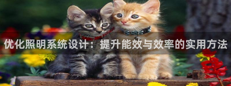 优化照明系统设计：提升能效与效率的实用方法