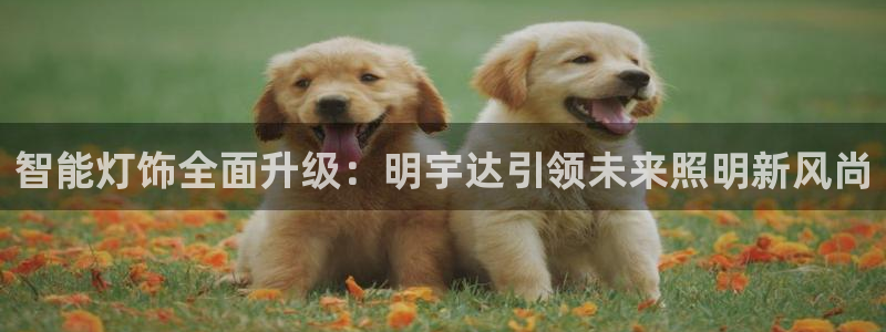 智能灯饰全面升级：明宇达引领未来照明新风尚