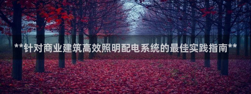 **针对商业建筑高效照明配电系统的最佳实践指南**