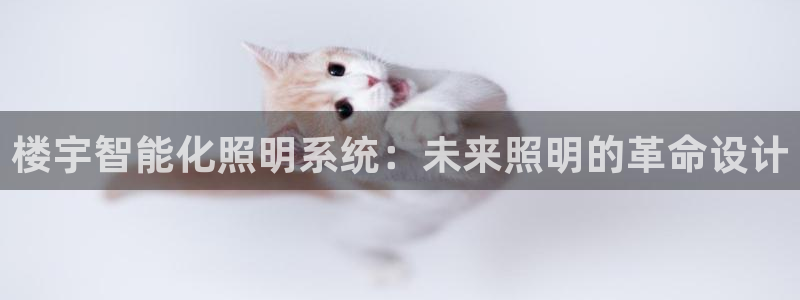 楼宇智能化照明系统：未来照明的革命设计