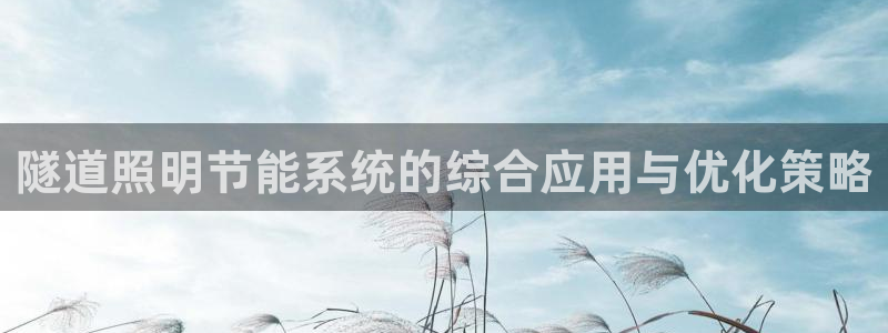 隧道照明节能系统的综合应用与优化策略