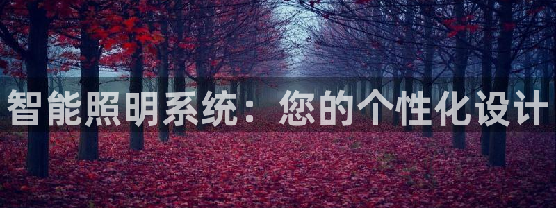 智能照明系统：您的个性化设计