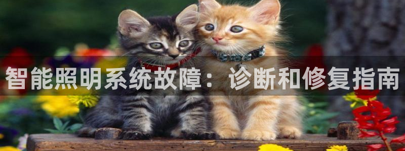 智能照明系统故障：诊断和修复指南