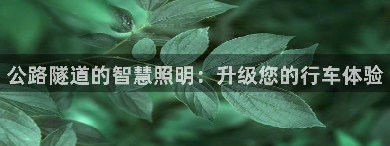 公路隧道的智慧照明：升级您的行车体验