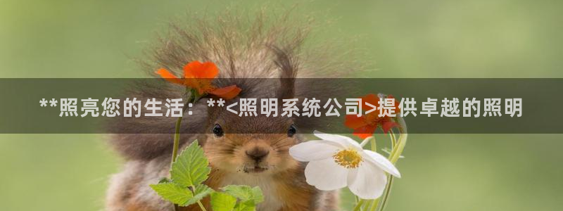 **照亮您的生活：**<照明系统公司>提供卓越的照明