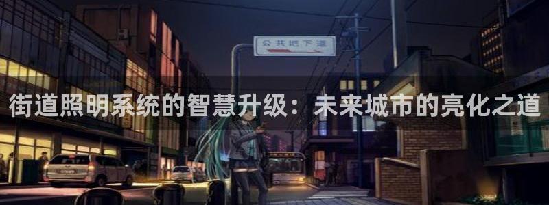 街道照明系统的智慧升级：未来城市的亮化之道