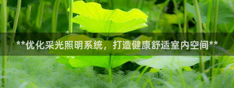 **优化采光照明系统，打造健康舒适室内空间**