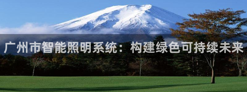 广州市智能照明系统：构建绿色可持续未来