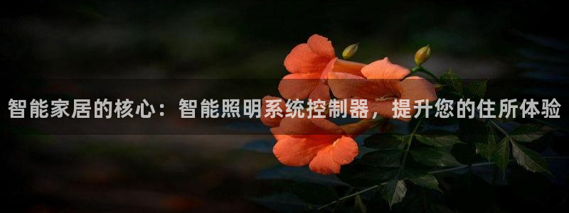 智能家居的核心：智能照明系统控制器，提升您的住所体验